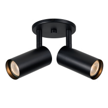 Dainolite STY-72SPT-MB - 2 Light Spot Light in Matte Black