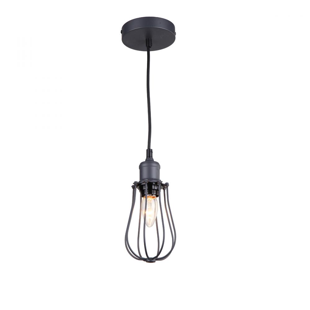 1 Light Pendant