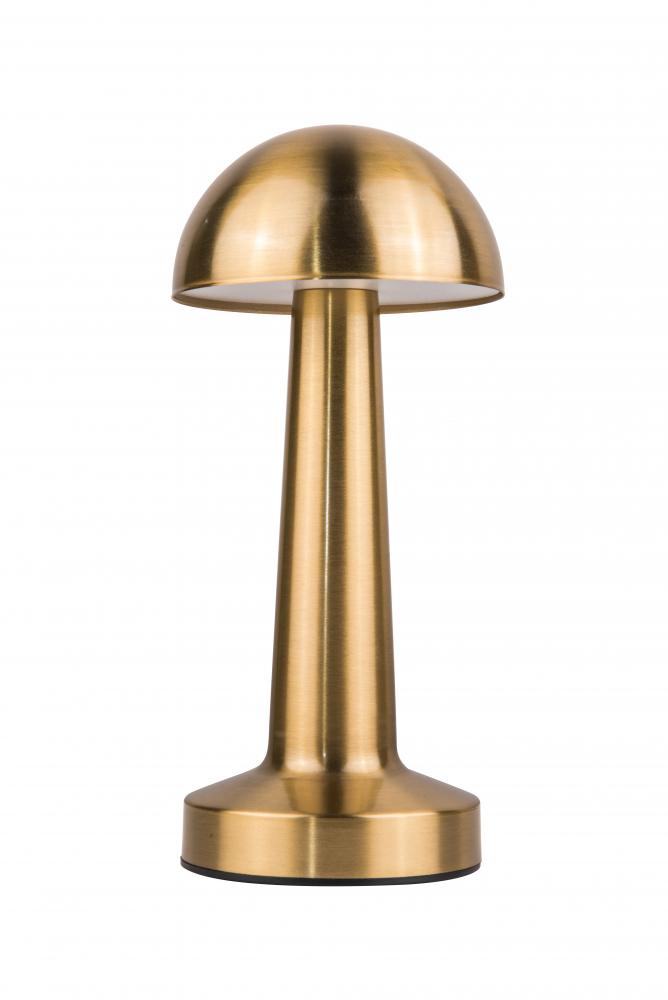 LED Indoor Rechargeable Portable Lamp