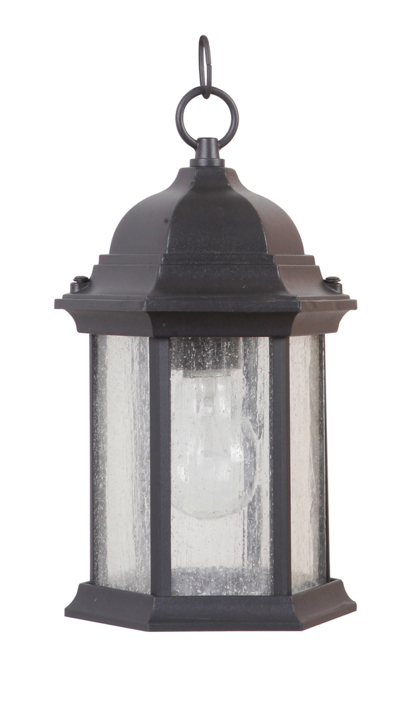 Hex Style Cast 1 Light Outdoor Pendant in Textured Black (Clear Seeded Glass)
